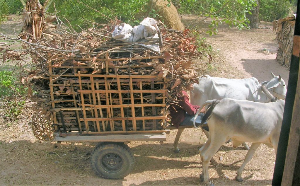Cambodia village ox cart